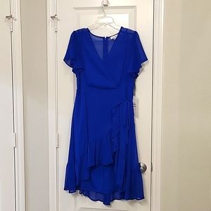 Calvin Klein, Blue Dress, Size 12 Petite